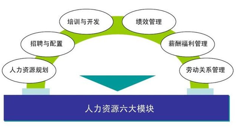 2025年背景调查收费标准解析：合规与成本考量